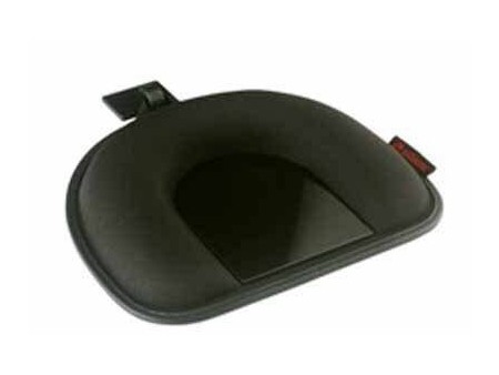 TT beanbag mount v. dashboard